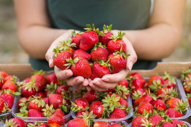 教你幾個小竅門可以挑選到又香又甜的新鮮草莓